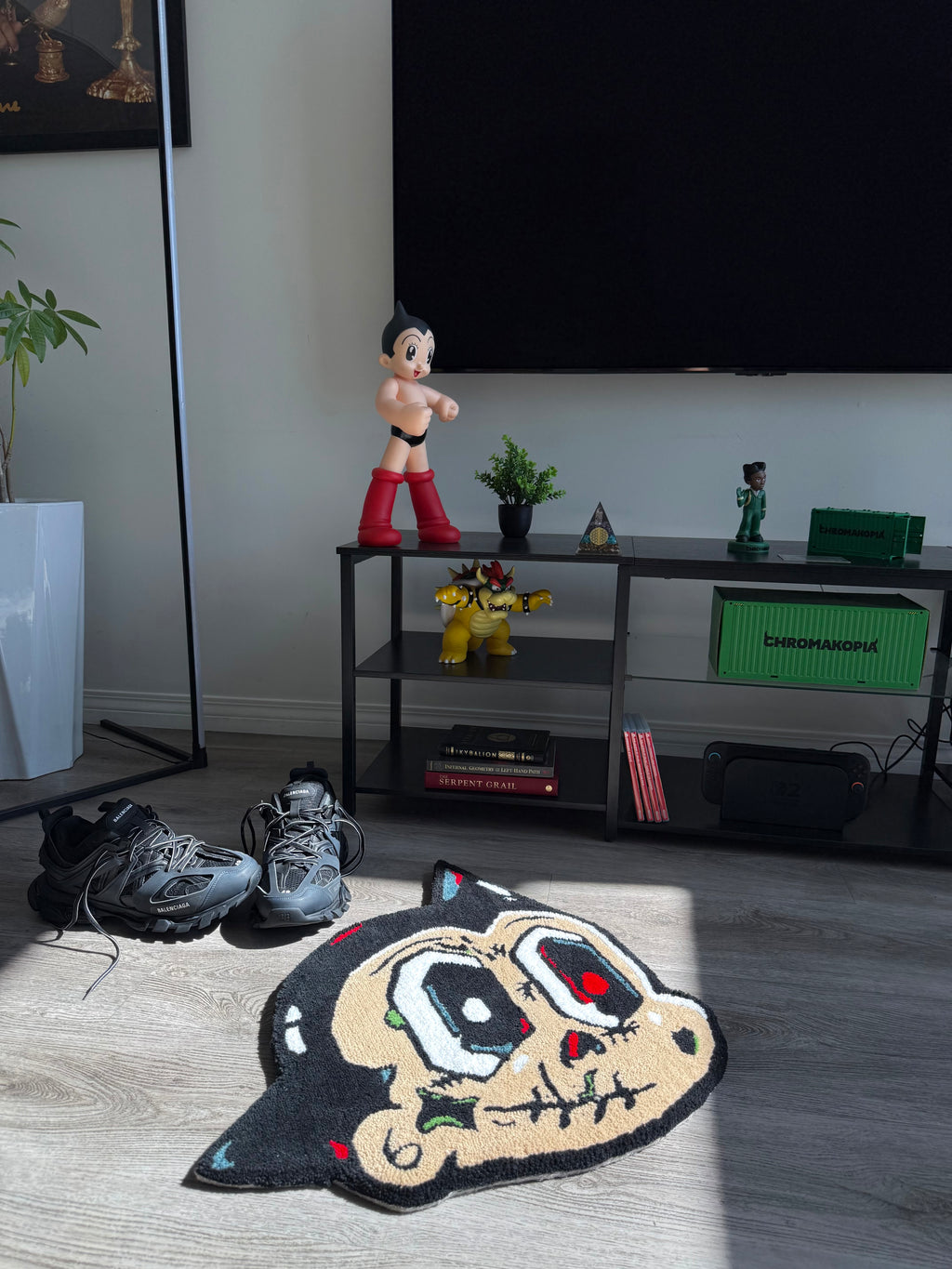 Astrodom Rug