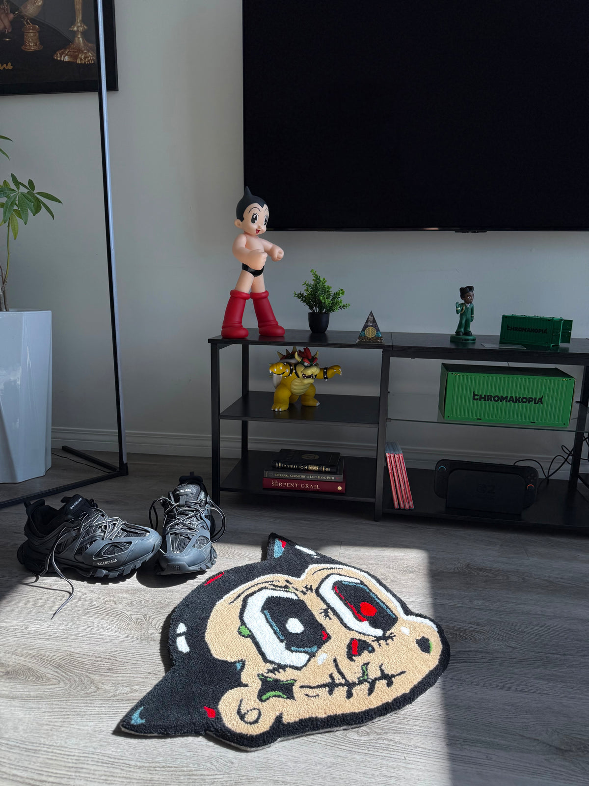 Astrodom Rug